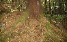 Kinderheiltage kinderheiltage