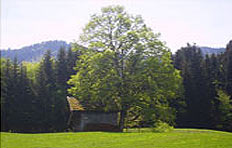 Energieseher Energieseher